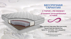 Преложения из Toris в рекламном проспекте Тверь